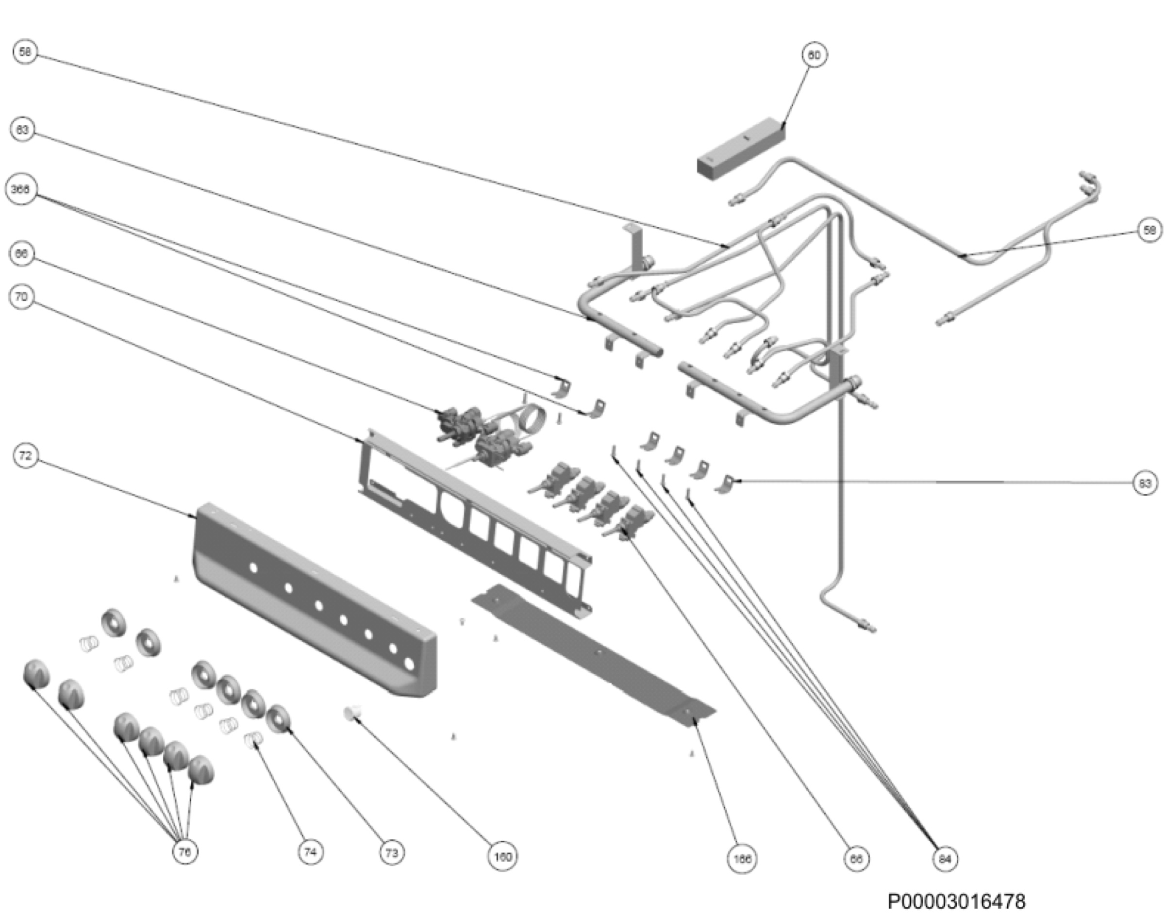 Section 5