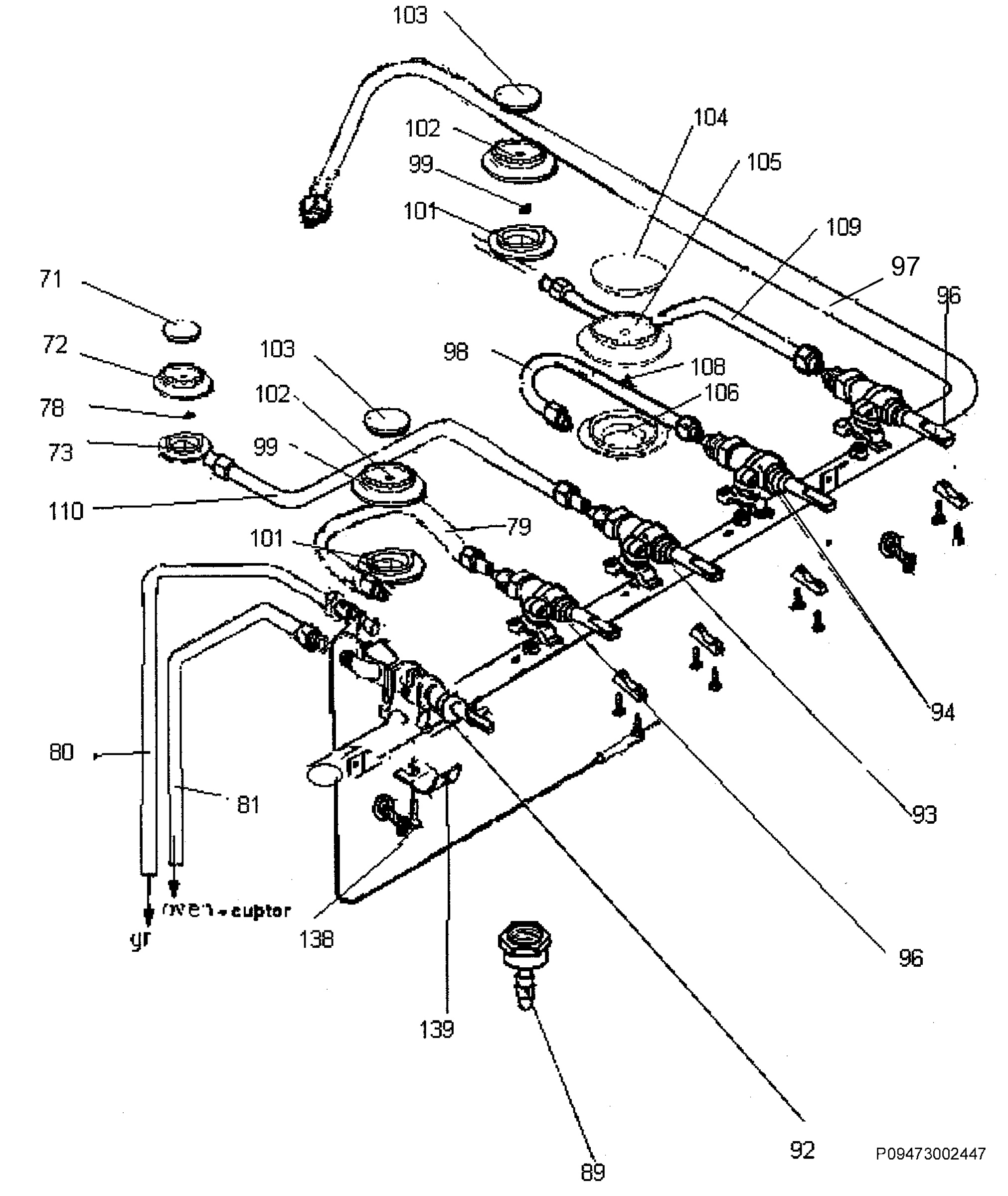Section 6