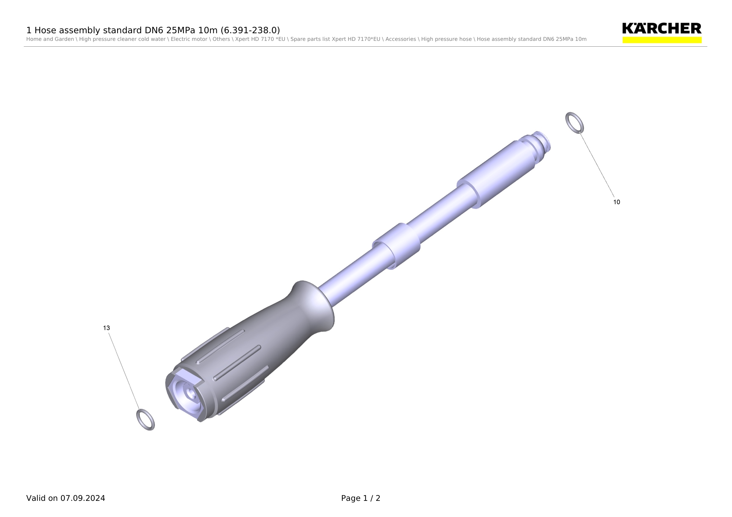 1 Hose assembly standard DN6 25MPa 10m (6.391-238.0)