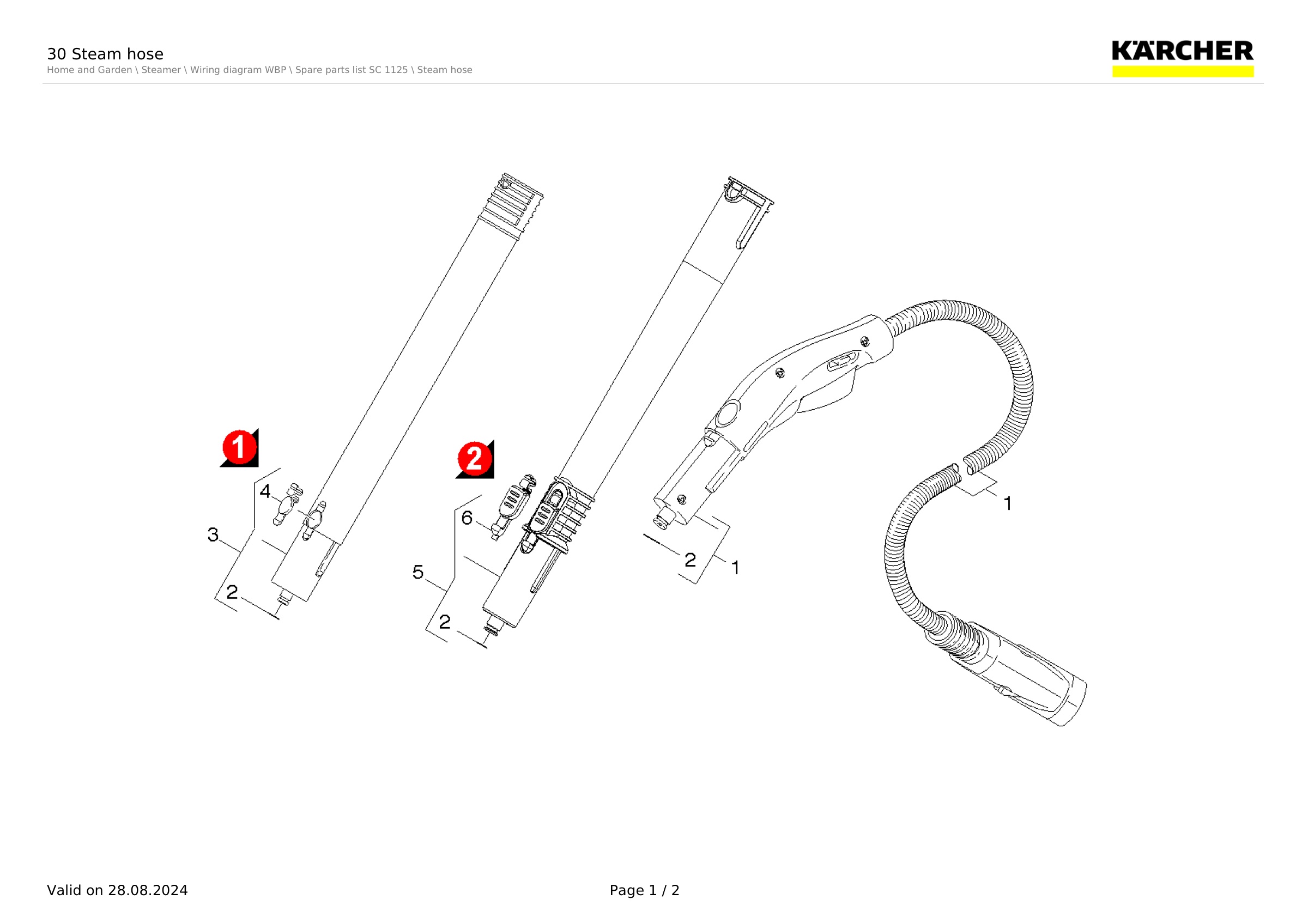 30 Steam hose
